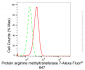KD-Validated Anti-Protein arginine methyltransferase 7 Rabbit Monoclonal Antibody