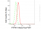 KD-Validated Anti-PTPN11 Rabbit Monoclonal Antibody