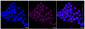 KD-Validated Anti-PWP1 Rabbit Monoclonal Antibody