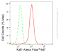 KD-Validated Anti-Raf1 Rabbit Monoclonal Antibody