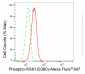 KD-Validated Anti-Phospho-RSK1(S380) Rabbit Monoclonal Antibody