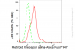 KD-Validated Anti-Retinoid X receptor alpha Rabbit Monoclonal Antibody