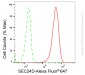 KD-Validated Anti-SEC24D Rabbit Monoclonal Antibody