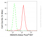KD-Validated Anti-SMAD5 Rabbit Monoclonal Antibody