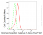KD-Validated Anti-Stromal interaction molecule 1 Rabbit Monoclonal Antibody