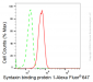 KD-Validated Anti-Syntaxin binding protein 1 Rabbit Monoclonal Antibody