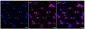 KD-Validated Anti-Syntaxin binding protein 1 Rabbit Monoclonal Antibody