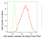 KD-Validated Anti-Wnt family member 5A Rabbit Monoclonal Antibody