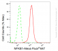 KD-Validated Anti-NFKB1 Rabbit Monoclonal Antibody