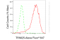 KD-Validated Anti-Tripartite Motif Containing 25 Rabbit Monoclonal Antibody