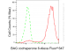 KD-Validated Anti-BAG Cochaperone 6 Rabbit Monoclonal Antibody