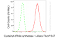 KD-Validated Anti-Cysteinyl-TRNA Synthetase 1 Rabbit Monoclonal Antibody