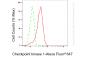 KD-Validated Anti-Checkpoint Kinase 1 Rabbit Monoclonal Antibody
