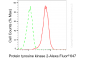 KD-Validated Anti-Protein Tyrosine Kinase 2 Rabbit Monoclonal Antibody