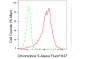KD-Validated Anti-Chromobox Rabbit Monoclonal Antibody