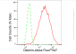 KD-Validated Anti-Desmin Rabbit Monoclonal Antibody