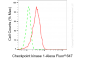 KD-Validated Anti-Checkpoint Kinase 1 Rabbit Monoclonal Antibody