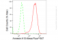KD-Validated Anti-Annexin A10 Rabbit Monoclonal Antibody