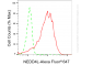 KD-Validated Anti-NEDD4L Rabbit Monoclonal Antibody