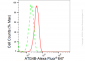 KD-Validated Anti-ATG4B Rabbit Monoclonal Antibody