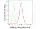 KD-Validated Anti-MAP2K2 Rabbit Monoclonal Antibody