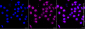 KD-Validated Anti-Forkhead Box O3 Rabbit Monoclonal Antibody