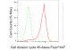 KD-Validated Anti-Cell Division Cycle 45 Rabbit Monoclonal Antibody
