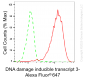 KD-Validated Anti-DNA Damage Inducible Transcript 3 Rabbit Monoclonal Antibody