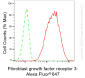 KD-Validated Anti-Fibroblast Growth Factor Receptor 3 Rabbit Monoclonal Antibody