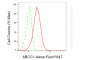 KD-Validated Anti-ABCC1 Rabbit Monoclonal Antibody