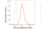 KD-Validated Anti-CDC37 Rabbit Monoclonal Antibody