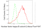 KD-Validated Anti-Nuclear Factor Kappa B Subunit 2 Rabbit Monoclonal Antibody