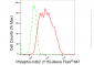 KD-Validated Anti-Phospho-Cdk2 (Y15) Rabbit Monoclonal Antibody