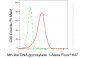 KD-Validated Anti-Nth Like DNA Glycosylase 1 Rabbit Monoclonal Antibody