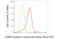 KD-Validated Anti-CGRP Receptor Component Rabbit Monoclonal Antibody
