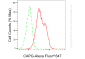 KD-Validated Anti-CAPG Rabbit Monoclonal Antibody