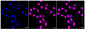 KD-Validated Anti-COPS3 Rabbit Monoclonal Antibody