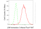 KD-Validated Anti-LIM Homeobox 3 Rabbit Monoclonal Antibody