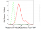 KD-Validated Anti-Phospho-eIF4B (S406) Rabbit Monoclonal Antibody