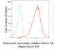 KD-Validated Anti-EIF4E Rabbit Monoclonal Antibody