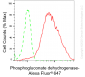 KD-Validated Anti-Phosphogluconate Dehydrogenase Rabbit Monoclonal Antibody