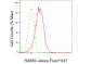 KD-Validated Anti-RAB5C Rabbit Monoclonal Antibody