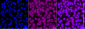 KD-Validated Anti-RAB5C Rabbit Monoclonal Antibody