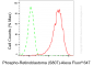 KD-Validated Anti-Phospho-Retinoblastoma (S807) Rabbit Monoclonal Antibody