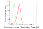 KD-Validated Anti-Transcription Factor 7 Like 2 Rabbit Monoclonal Antibody