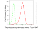 KD-Validated Anti-Thymidylate Synthase Rabbit Monoclonal Antibody