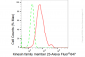 KD-Validated Anti-Kinesin family member 23 Rabbit Monoclonal Antibody