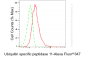 KD-Validated Anti-Ubiquitin Specific Peptidase 11 Rabbit Monoclonal Antibody