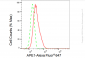 KD-Validated Anti-APE1 Rabbit Monoclonal Antibody