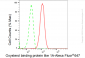 KD-Validated Anti-Oxysterol binding protein like 1A Rabbit Monoclonal Antibody